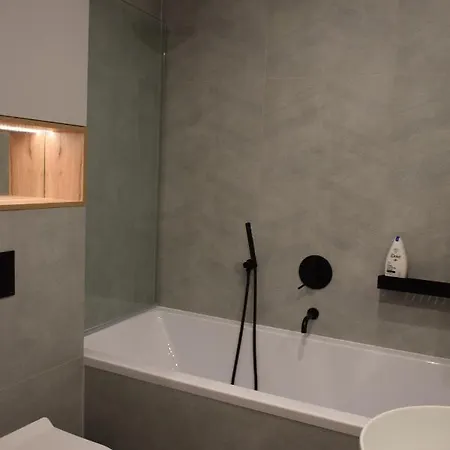 Uroczy Z Widokiem I Darmowym Parkingiem アパート